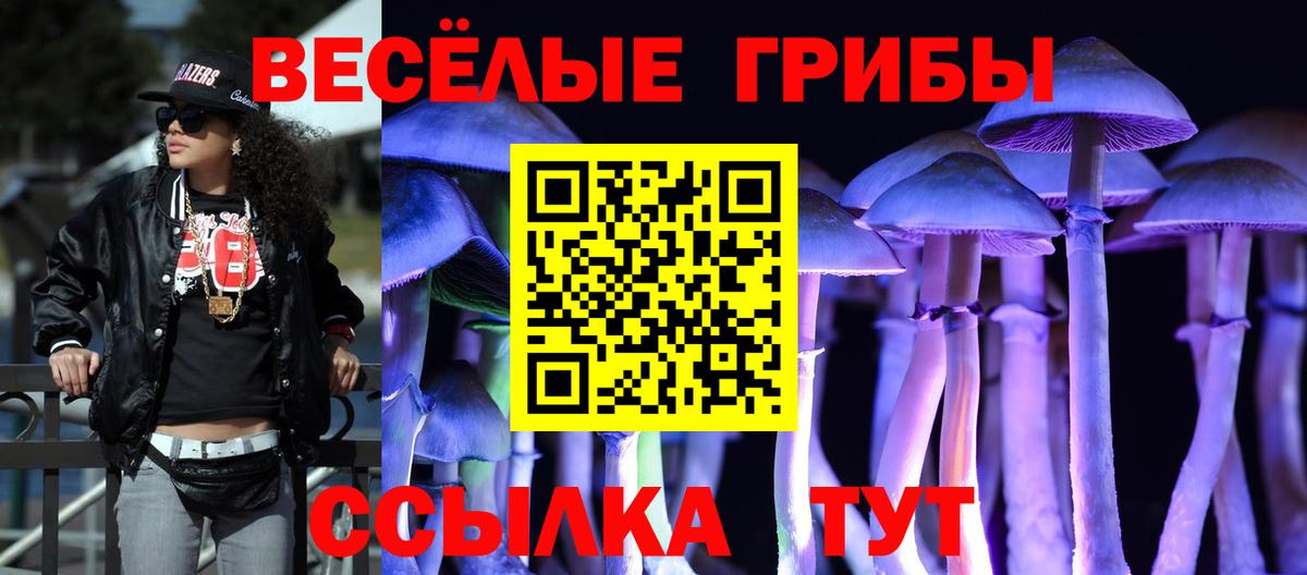 Галлюциногенные грибы Cubensis  Галлюциногенные грибы Psilocybine cubensis  что такое наркотик  Вход с VPN  Истра 